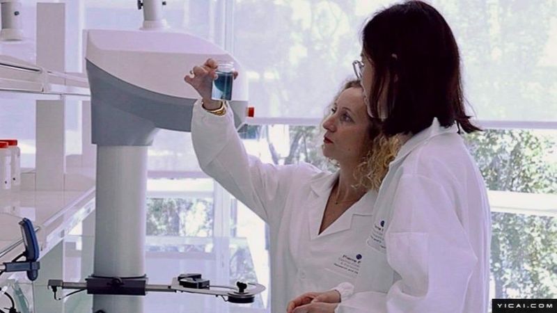  数据资产登记指南：如何获取上海知识产权登记试点认证 IT技术 数据资产登记指南：如何获取上海知识产权登记试点认证 IT技术